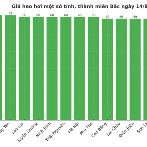 Giá heo hơi hôm nay ngày 14/8/2025: Lao dốc tại cả 3 miền