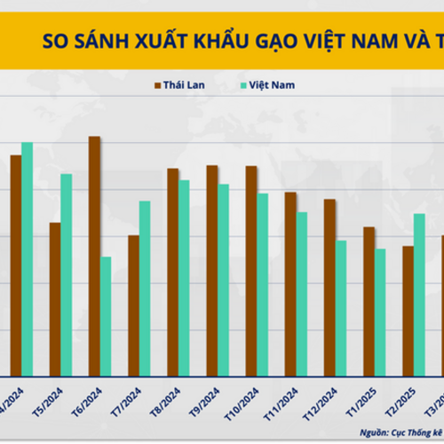 Gạo Việt có thể giữ được vị trí xuất khẩu thứ hai thế giới trong bao lâu?