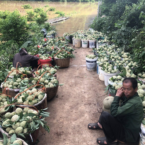 Na Cai Kinh giúp bà con vùng cao vươn lên thoát nghèo