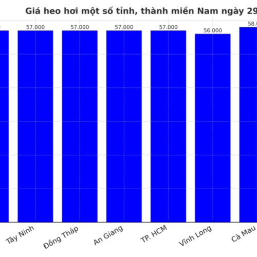 Giá heo hơi hôm nay 29/8/2025: Miền Bắc bất ngờ đảo chiều tăng