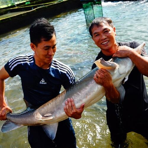 Các HTX Đam Rông nâng tầm nông sản, mở rộng thị trường tiêu thụ