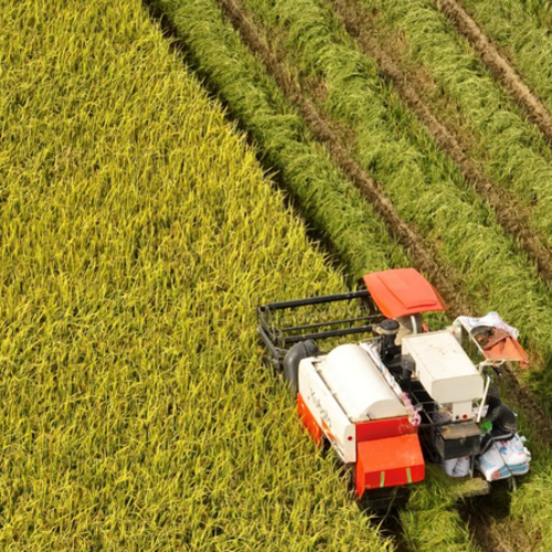 Dấu son 80 năm: Nông sản Việt vươn tầm thế giới trong kỷ nguyên xanh