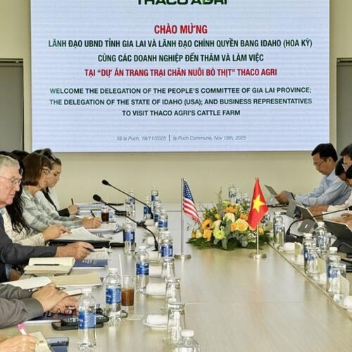 Gia Lai – Idaho (Mỹ) hợp tác phát triển bò thịt công nghệ cao