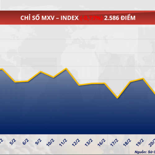 Giá đậu tương giảm nhẹ, lùi về mốc 427,5 USD/tấn