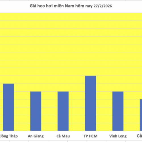 Giá heo hơi hôm nay 27/2/2026: Giảm rải rác