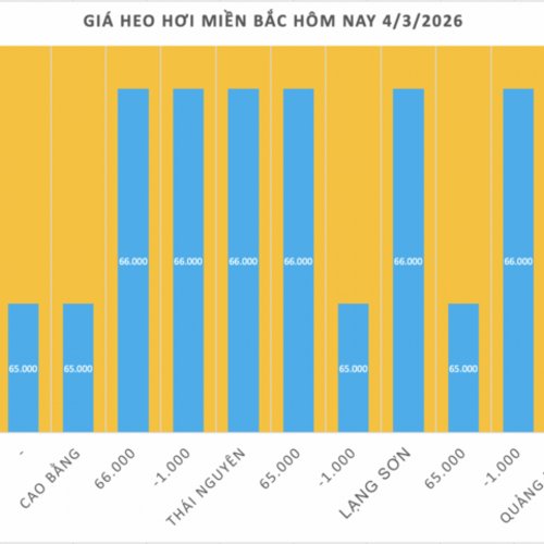 Giá heo hơi hôm nay 4/3/2026: Giảm tại miền Bắc và miền Trung