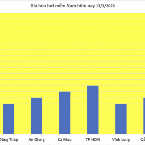 Giá heo hơi hôm nay 13/3/2026: Biến động trái chiều
