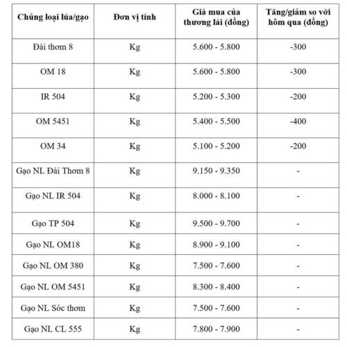 Giá lúa gạo hôm nay ngày 18/3/2026: Lúa tươi đồng loạt giảm