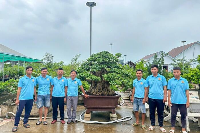 Ra mắt Tổ hội nghề nghiệp tạo dáng nghệ thuật cây cảnh bonsai 