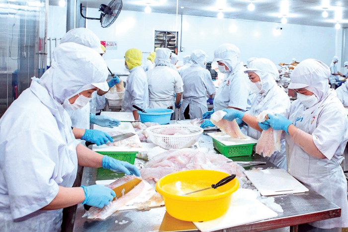 Cần Thơ thành lập mới 47 hợp tác xã 