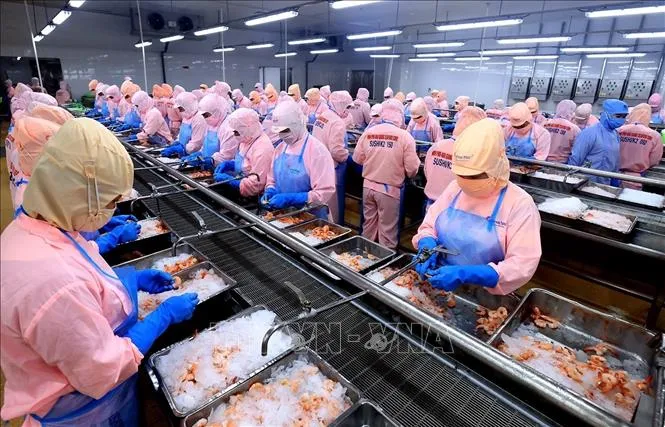 Kinh tế Việt Nam qua góc nhìn quốc tế: Hội tụ nhiều điều kiện để bước vào một chu kỳ tăng trưởng mới 