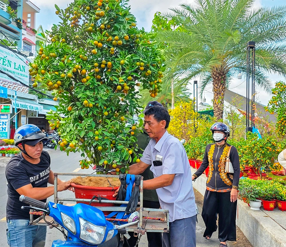 Sức mua hoa kiểng Tết còn yếu, giá không tăng