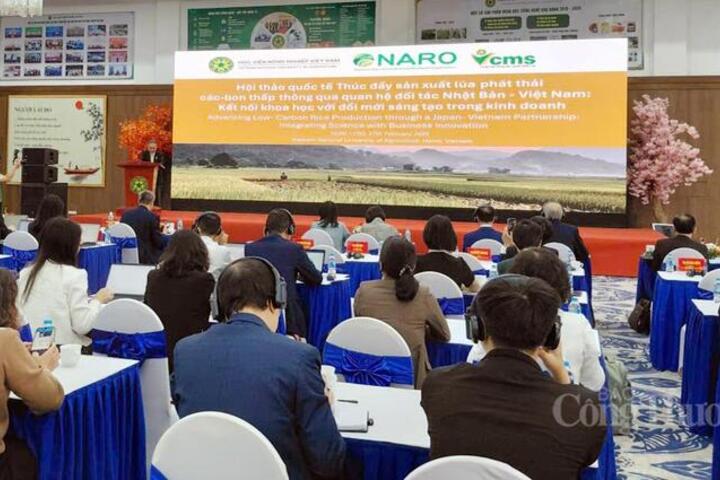 Nhật Bản - Việt Nam: Thúc đẩy hợp tác phát triển lúa phát thải thấp