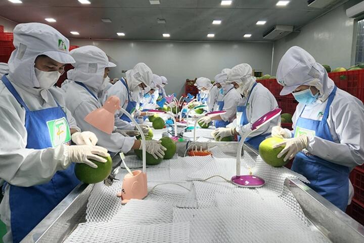 Nỗ lực duy trì tăng trưởng, tạo bứt phá xuất khẩu năm 2026 