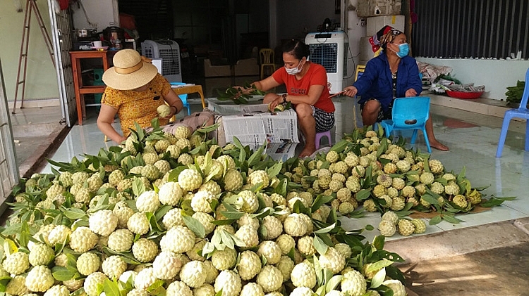 Đa dạng kênh tiêu thụ na