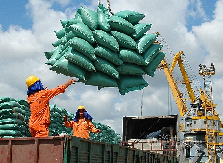 Gỡ khó cho doanh nghiệp xuất khẩu gạo