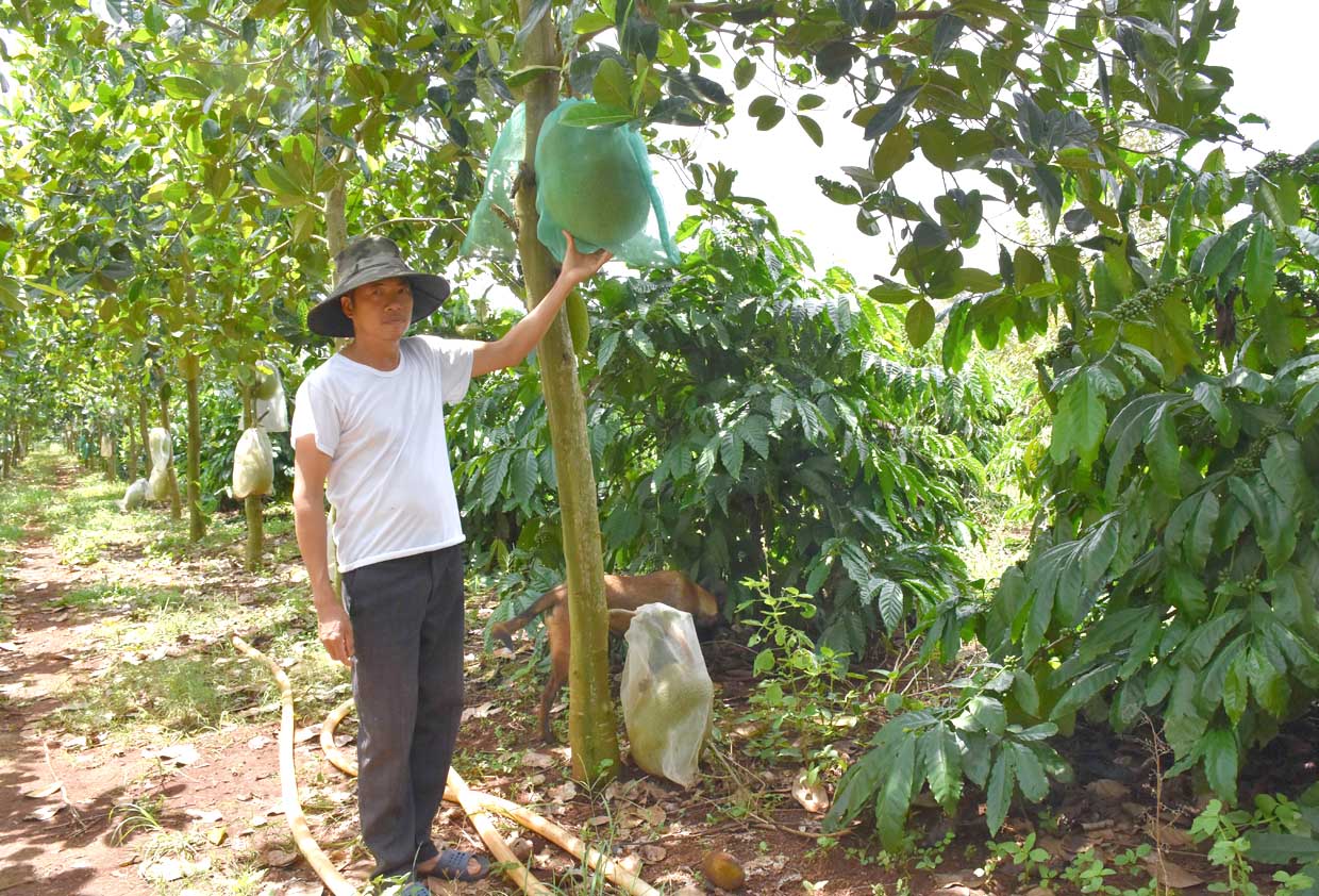 Anh Nguyễn Văn Thiện bên những thùng phân vi sinh tự làm. Ảnh: Hà Phương