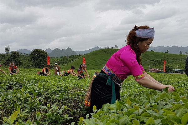 Cần đẩy mạnh chất lượng và canh về giá để nông sản Việt Nam xuất khẩu sang Hà Lan tăng mạnh hơn. Ảnh: Vũ Long.