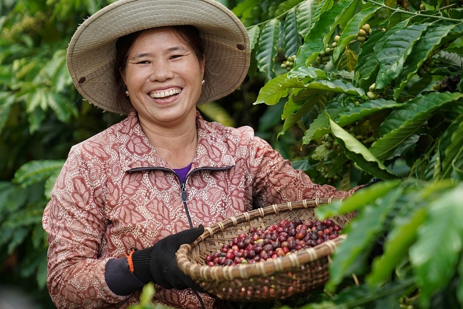 Kết nối nông sản Nam bộ và Tây Nguyên đến hàng trăm doanh nghiệp nước ngoài