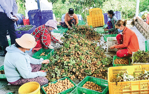 Kết nối thúc đẩy cung - cầu nông, thủy sản 