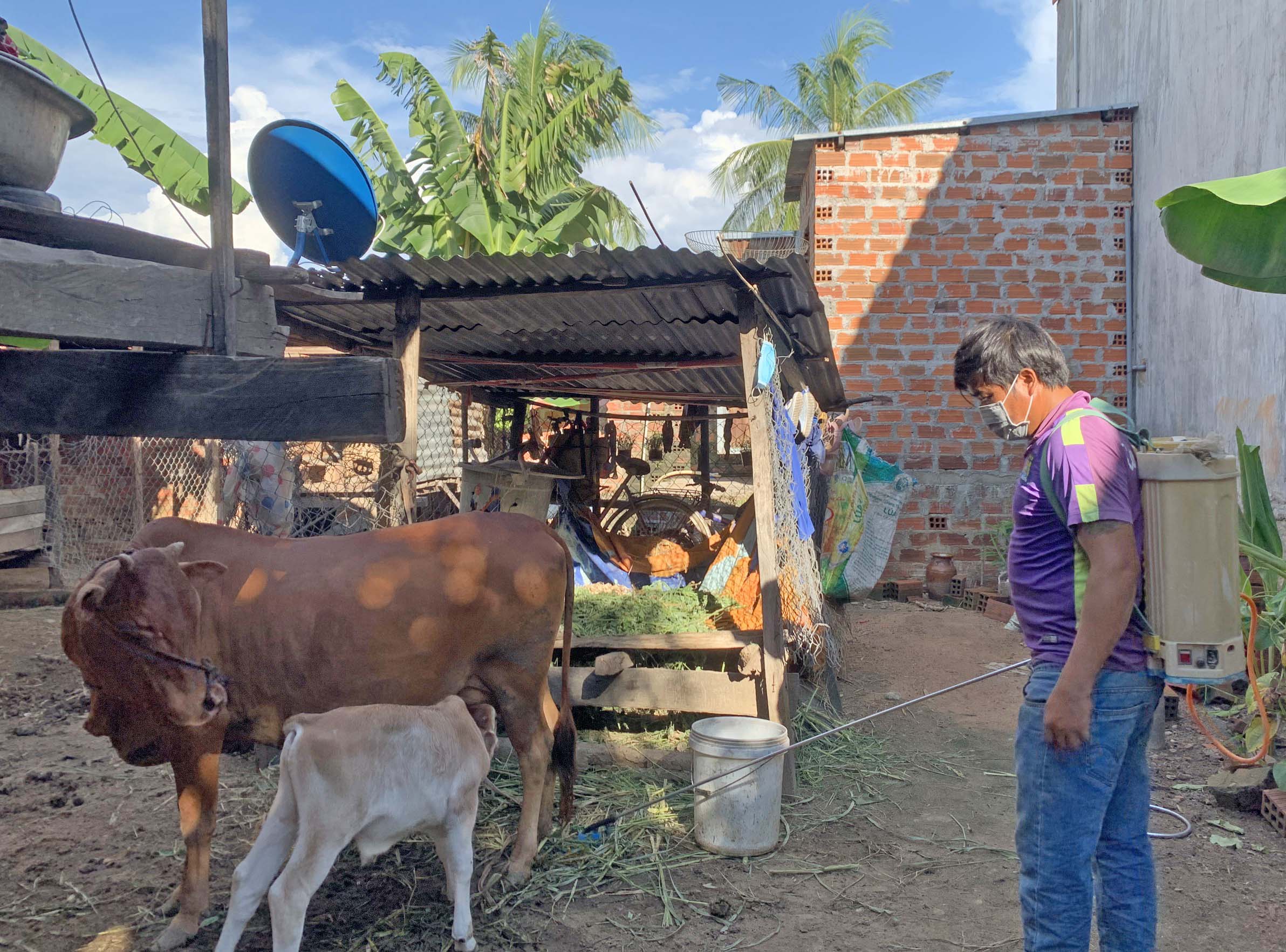 Người dân phường Đoàn Kết phun hóa chất tiêu độc khử trùng chuồng trại chăn nuôi. Ảnh: Vũ Chi