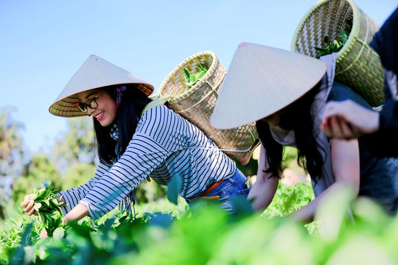 Sản phẩm của du lịch nông thôn - Tổng cục Du lịch