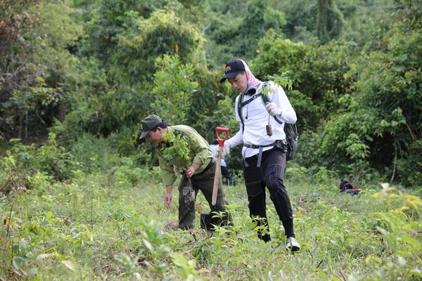 Nghệ sỹ, hoa hậu tham gia trồng rừng