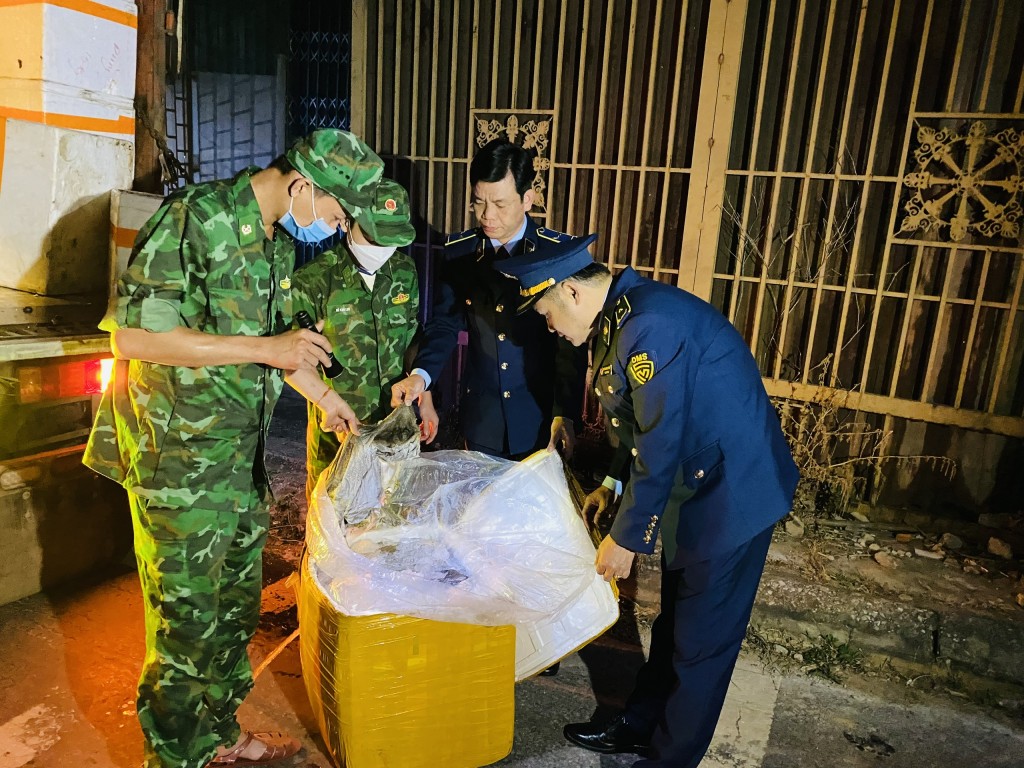 Ngăn chặn nhập lậu, vận chuyển trái phép động vật...