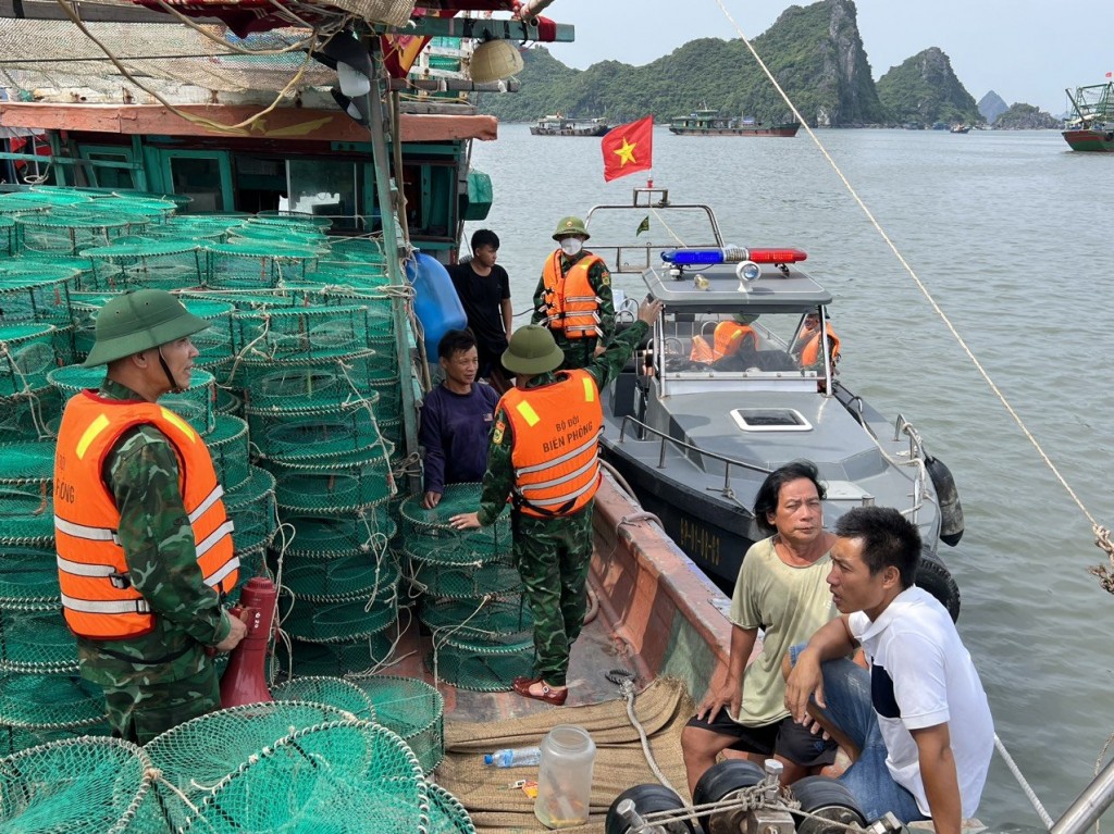 Đẩy lùi tình trạng khai thác hải sản bất hợp pháp