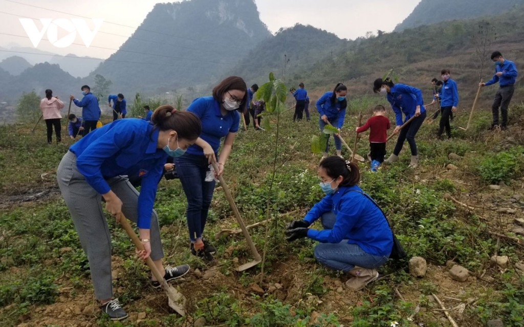 Triển khai “Tết trồng cây đời đời nhớ ơn Bác Hồ” thiết thực, hiệu quả