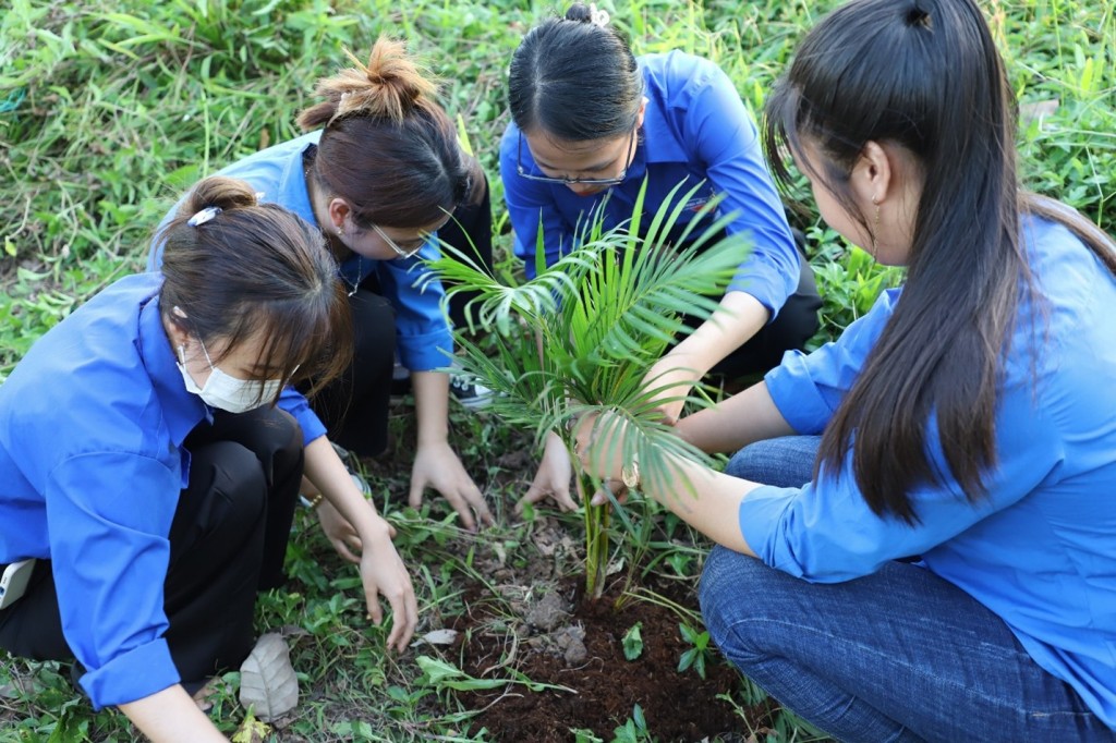 Triển khai “Tết trồng cây đời đời nhớ ơn Bác Hồ” thiết thực, hiệu quả