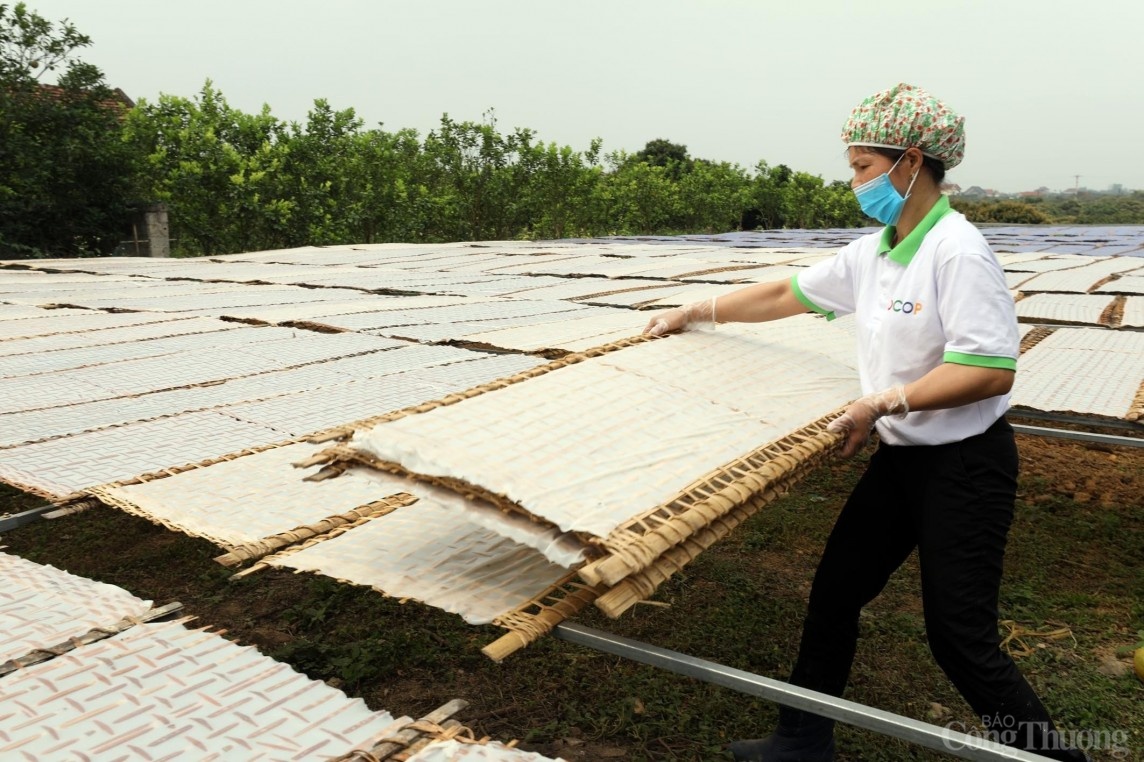 Mỳ Chũ Lục Ngạn “gõ cửa” thị trường khó tính