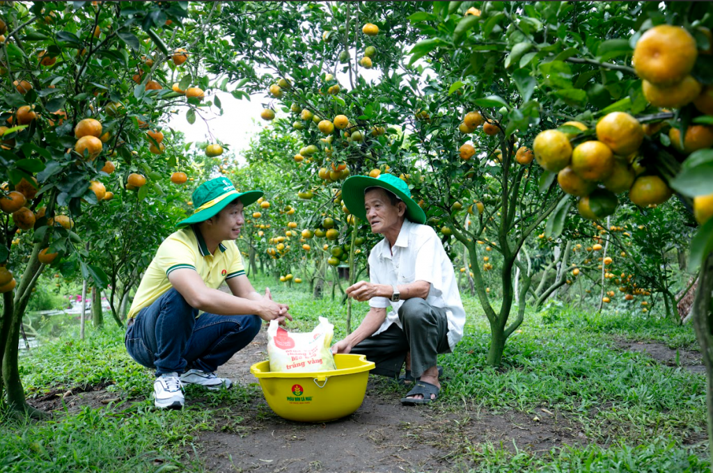 Phân bón Cà Mau: Dấu ấn của sứ mệnh, nỗ lực và thành tựu