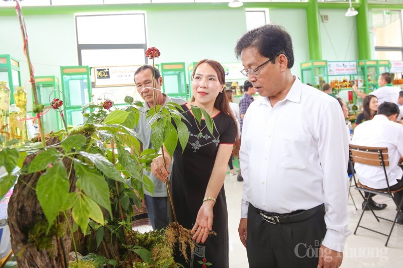 Ra mắt sàn thương mại điện tử chính thức và duy nhất về sâm Ngọc Linh