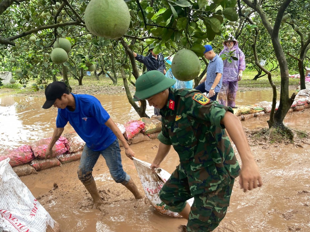 Be bờ ngăn nước ngập