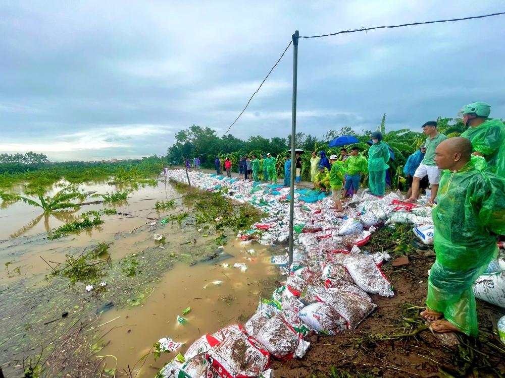 Cuộc sống mới tại Trung Châu