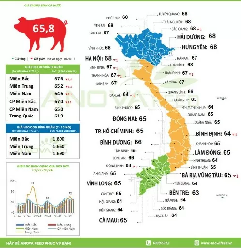 Giá heo hơi hôm nay 9/10/2024: Thị trường mất mốc 69.000 đồng/kg