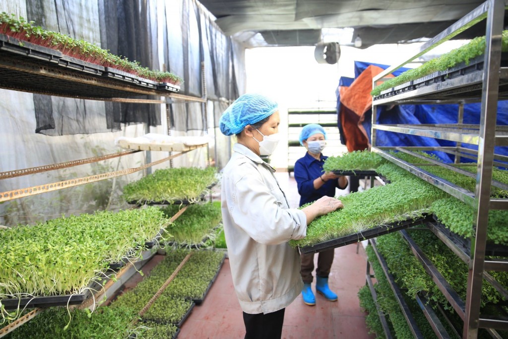 Đưa chuyển đổi số, khoa học công nghệ vào sản xuất nông nghiệp