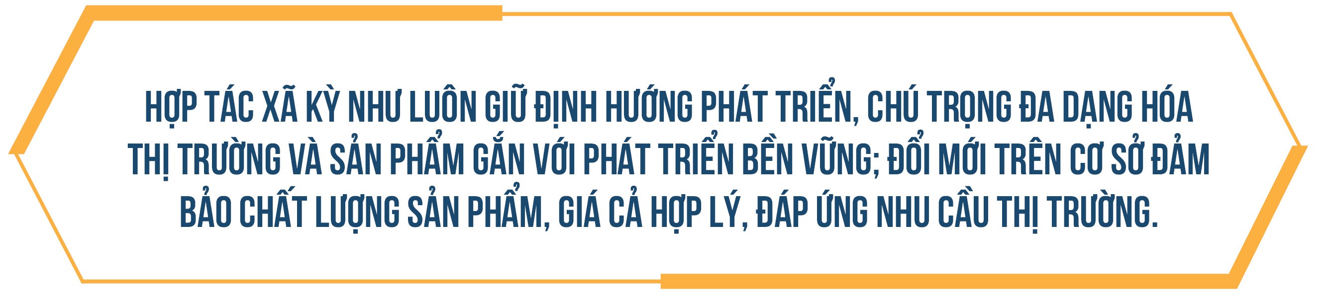 Người phụ nữ đưa thương hiệu cá thát lát Hậu Giang vươn tầm quốc tế