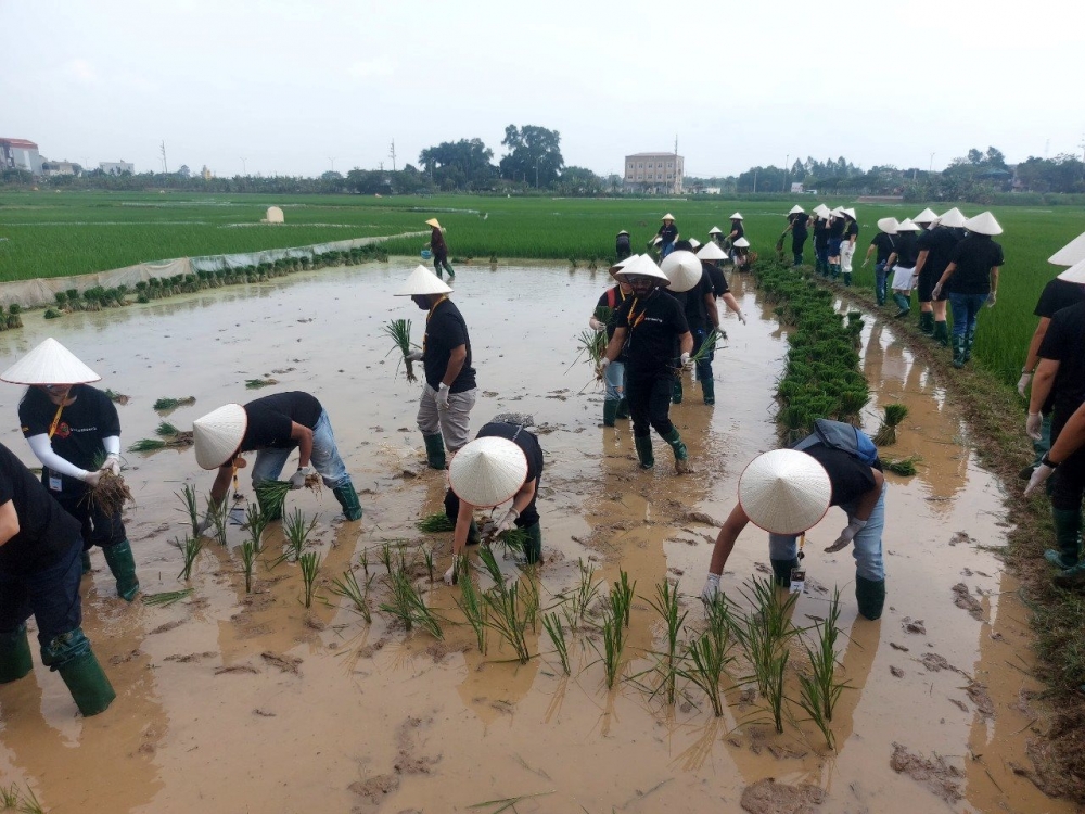 Du lịch nông nghiệp - cơ hội mới cho người nông dân Thủ đô