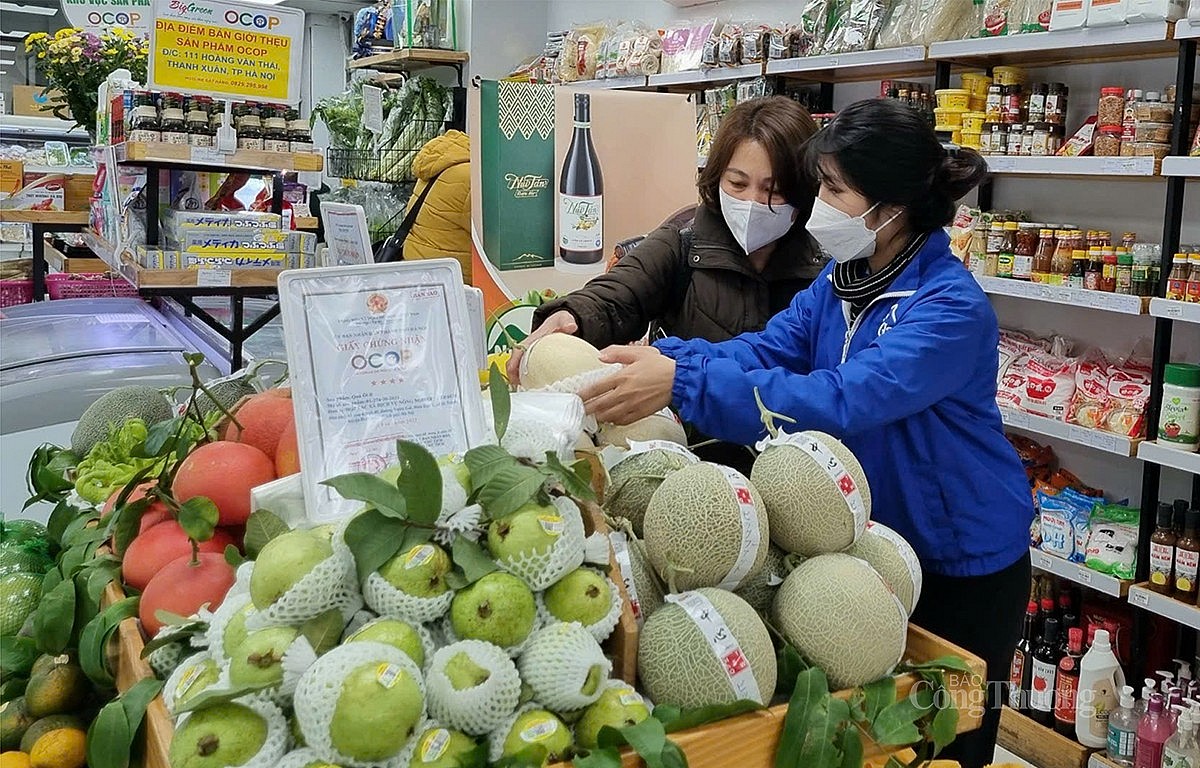 Ngành Công Thương Hà Nội: Hỗ trợ xây dựng chuỗi sản xuất, cung ứng trái cây an toàn