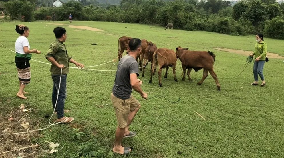 Sở Công Thương Thanh Hóa phối hợp triển khai có hiệu quả công tác giảm nghèo bền vững