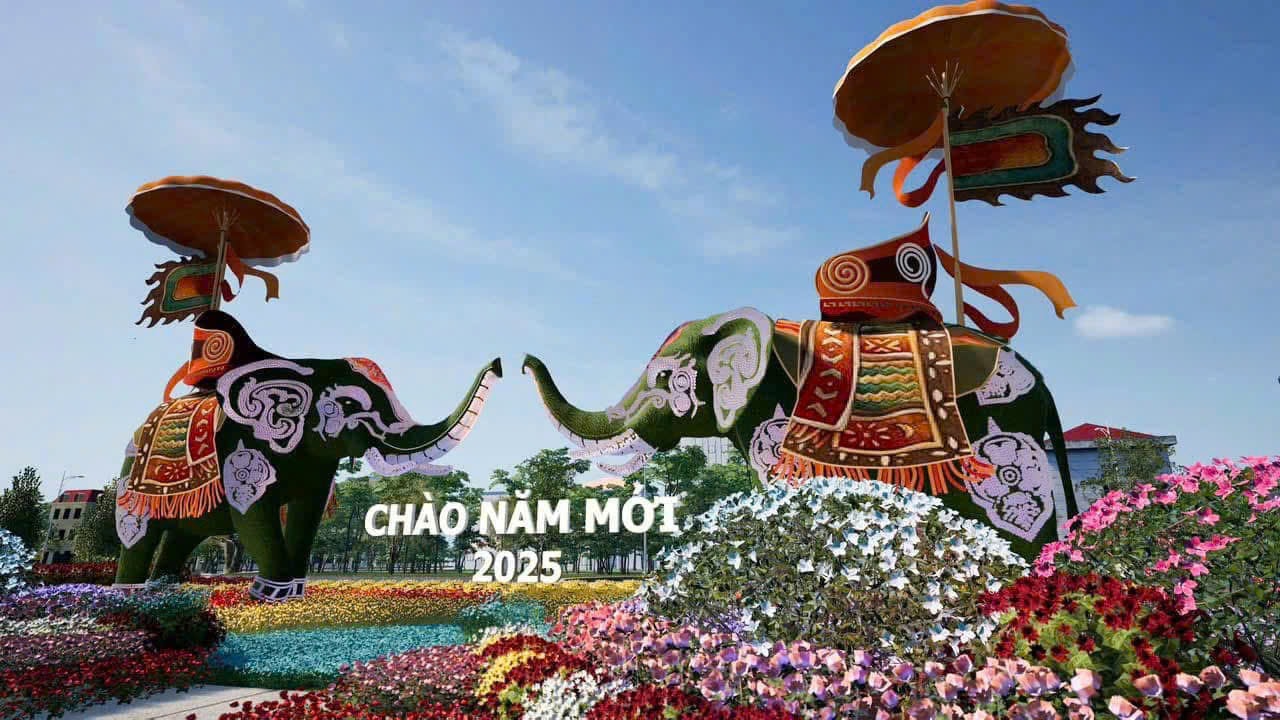 Tưng bừng khai hội Festival hoa Mê Linh