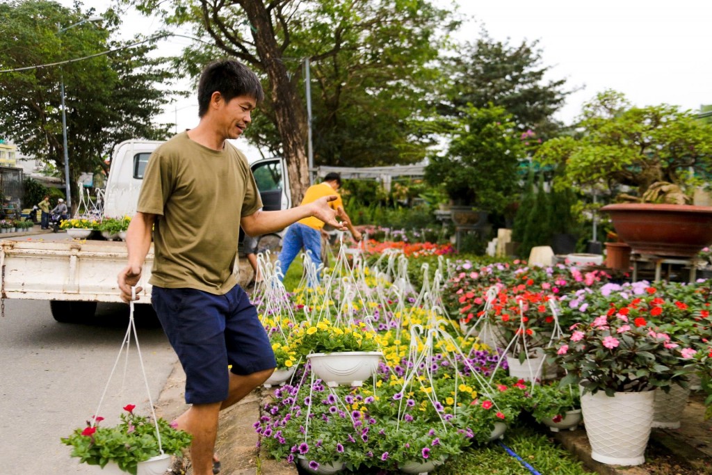 Các con phố ở trung tâm Đà Nẵng đã bắt đầu rộn ràng “khoác áo mới” các chủ vườn đưa hoa xuống phố để người dân lựa chọn, mua sắm (Ảnh Đ.Minh)