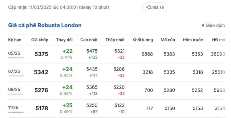 Giá cà phê hôm nay 11/3/2025 trong nước tăng trở lại