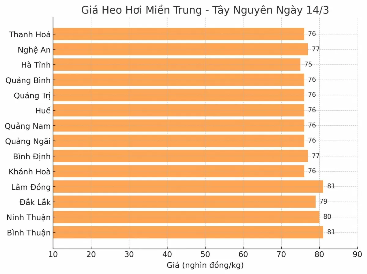 Giá heo hơi hôm nay 14/3/2025: Miền Bắc biến động trái chiều