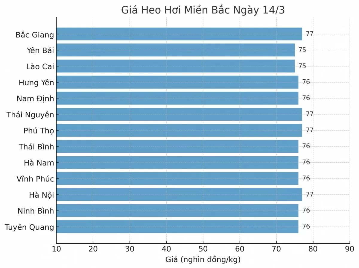 Giá heo hơi hôm nay 14/3/2025: Miền Bắc biến động trái chiều