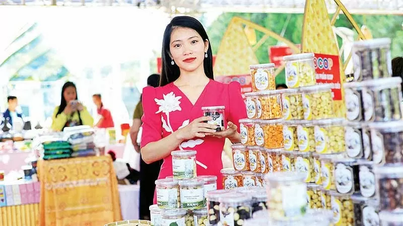 Lâm Đồng 'mở lối' chuyên nghiệp cho thương mại miền núi