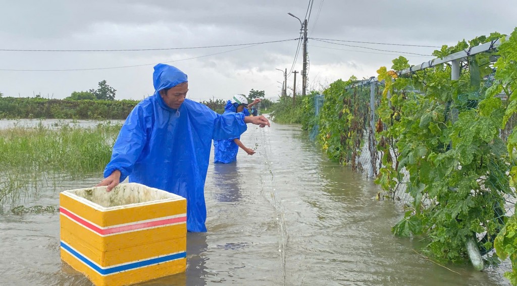 Nhiều bà con nông dân tranh thủ thả lưới bắt cá (Ảnh Đ.Minh)