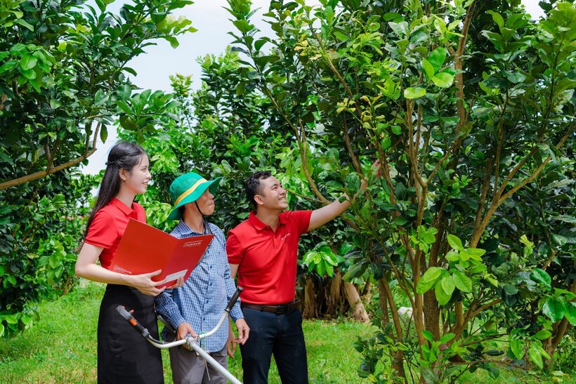 Agribank ưu tiên tài trợ cho các dự án nông nghiệp công nghệ cao, năng lượng tái tạo, trồng rừng và kinh tế tuần hoàn